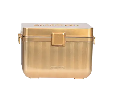 Plastic Insulated Box